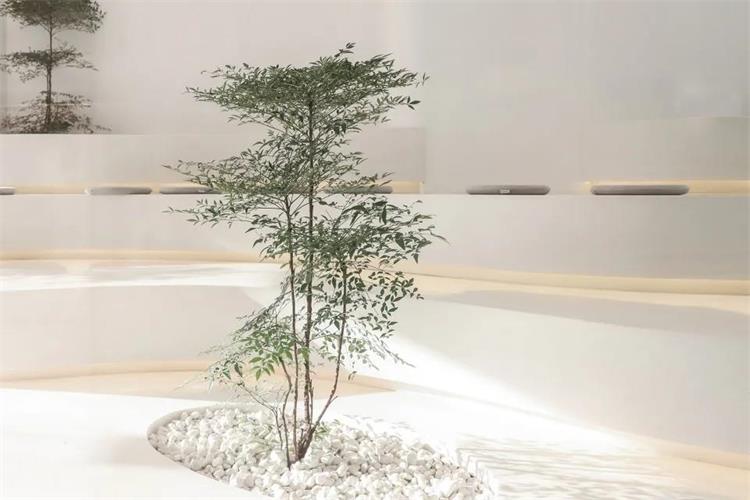 蘭熊鮮奶 · 北京